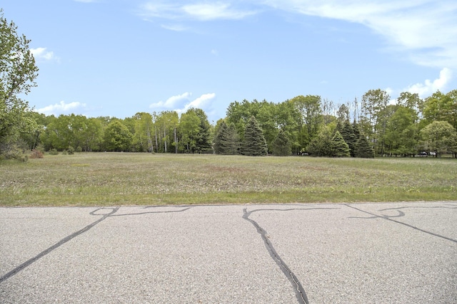 7256 Ryans Run, Stanwood, MI 49346