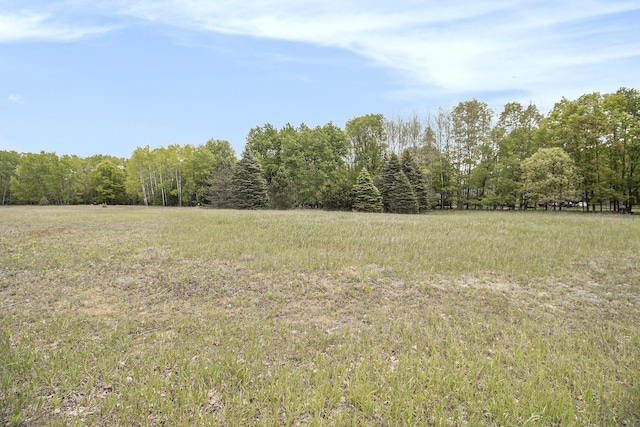 7256 Ryans Run, Stanwood, MI 49346