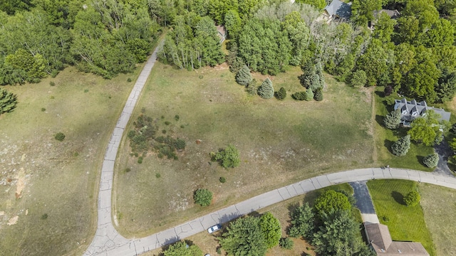 7256 Ryans Run, Stanwood, MI 49346