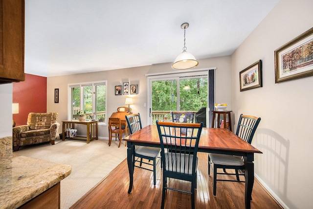 7643 Cottonwood Ln, Dexter, MI 48130 - dining area featuring healthy amount of natural light, baseboards, and wood finished floors