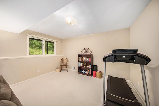 7643 Cottonwood Ln, Dexter, MI 48130 - workout room with carpet floors