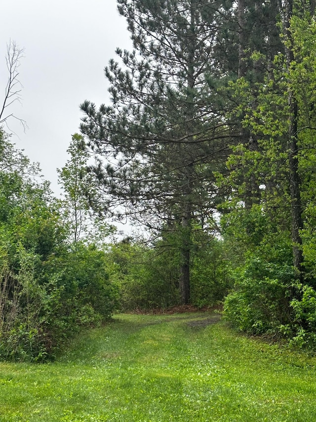 VL N Douglas Rd, Luther, MI 49656 - photo 1