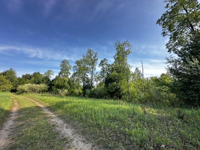 VL N Douglas Rd, Luther, MI 49656 - photo 6