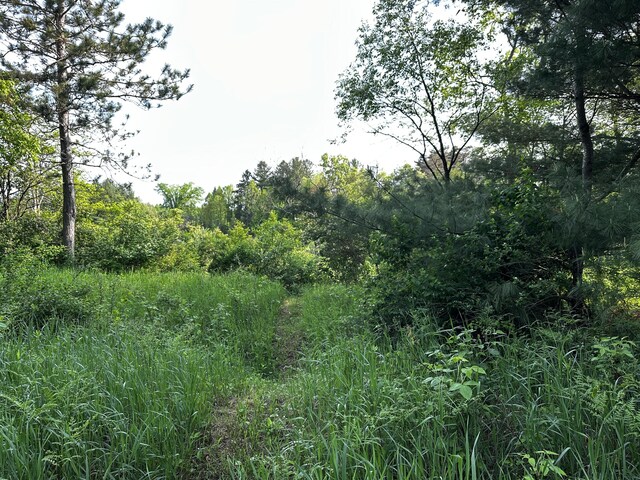 VL N Douglas Rd, Luther, MI 49656 - photo 7