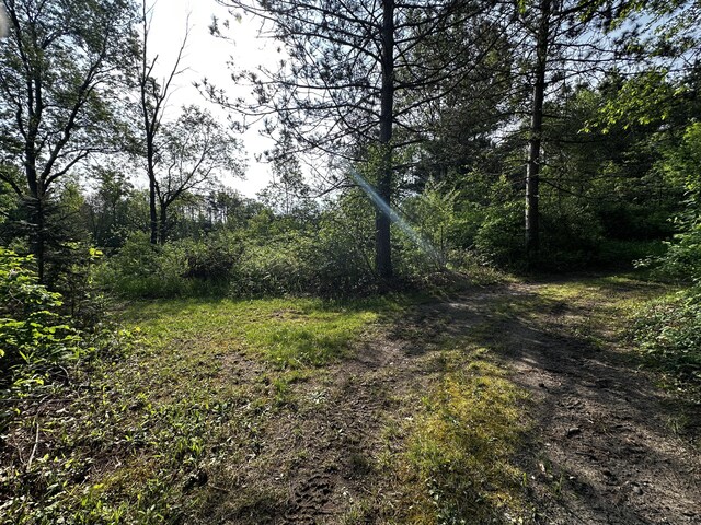 VL N Douglas Rd, Luther, MI 49656 - photo 8