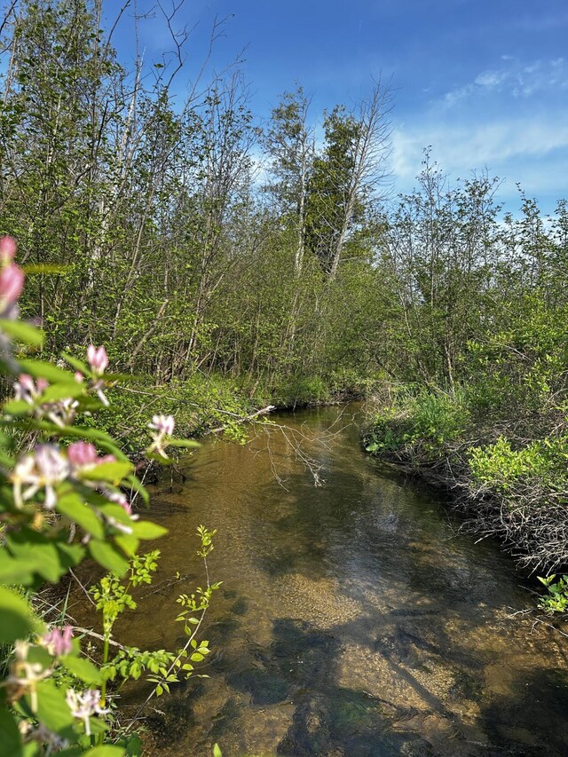 VL N Douglas Rd, Luther, MI 49656 - photo 3