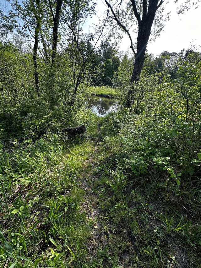 VL N Douglas Rd, Luther, MI 49656 - photo 10