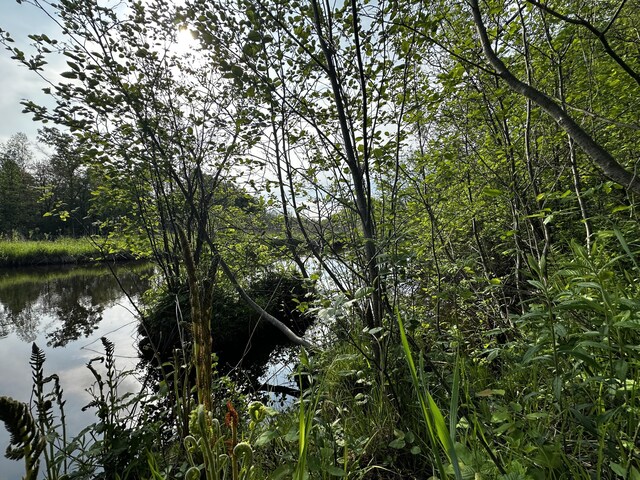 VL N Douglas Rd, Luther, MI 49656 - photo 11