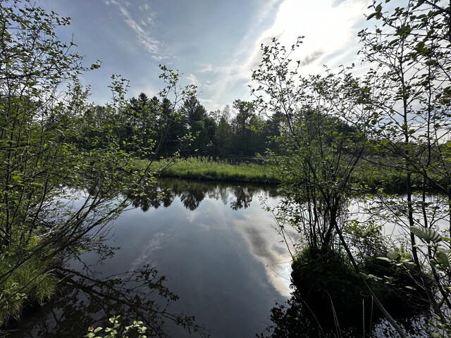 VL N Douglas Rd, Luther, MI 49656 - photo 12