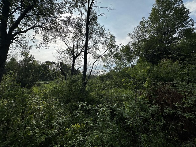VL N Douglas Rd, Luther, MI 49656 - photo 13