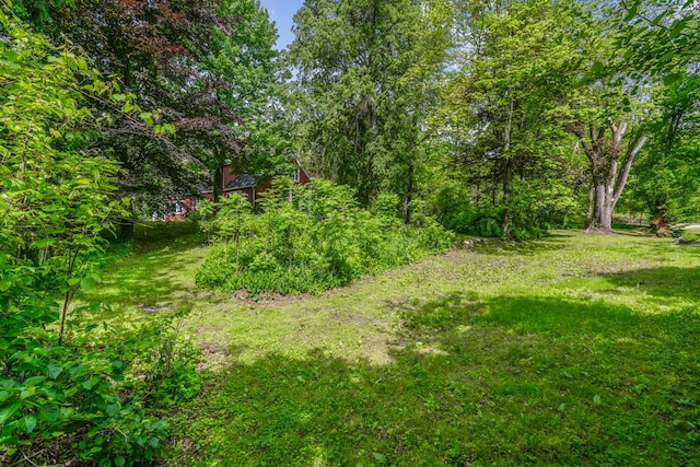 7938 E Dr N, Battle Creek, MI 49014 - photo 54