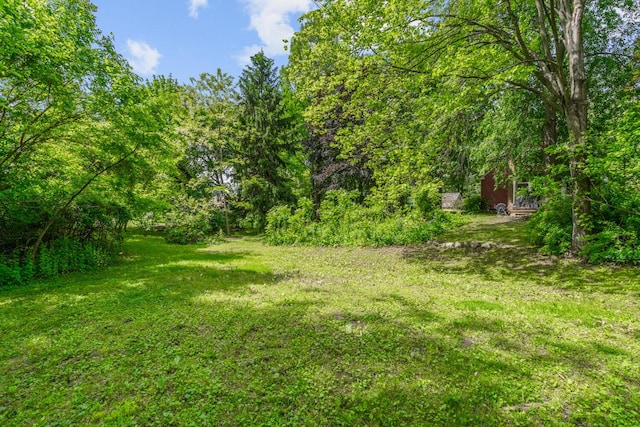 7938 E Dr N, Battle Creek, MI 49014 - photo 55