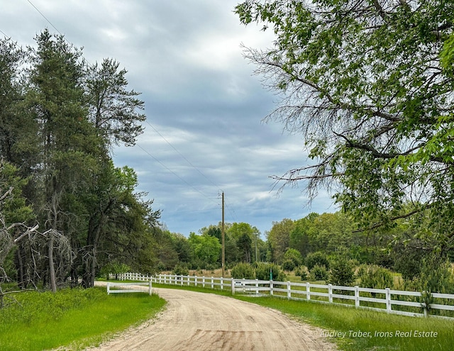 4307 N Mac Rd, Irons, MI 49644 - view of dirt / gravel road featuring a forest view
