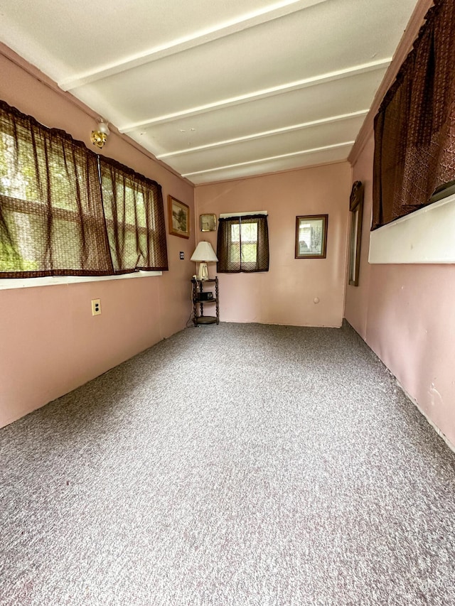 4307 N Mac Rd, Irons, MI 49644 - view of carpeted spare room