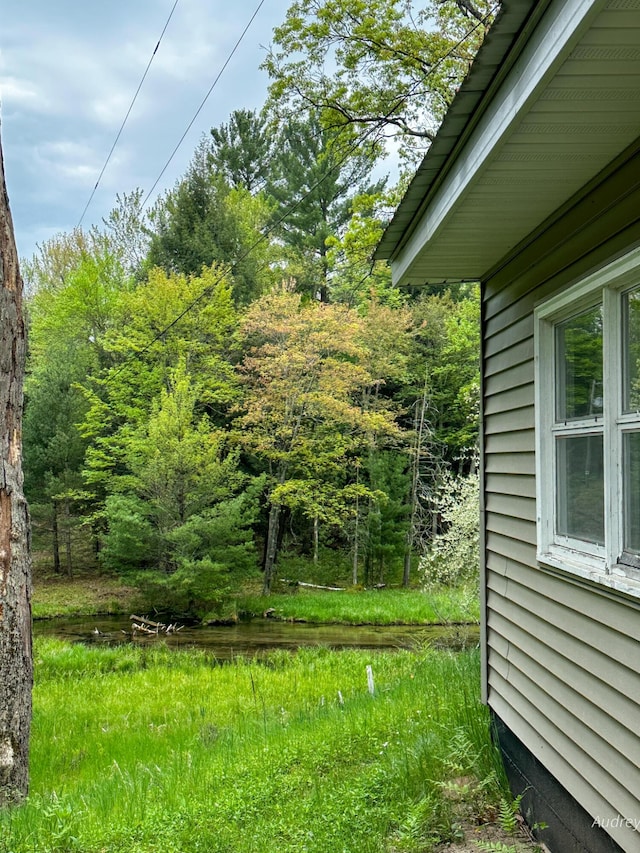 4307 N Mac Rd, Irons, MI 49644 - view of yard