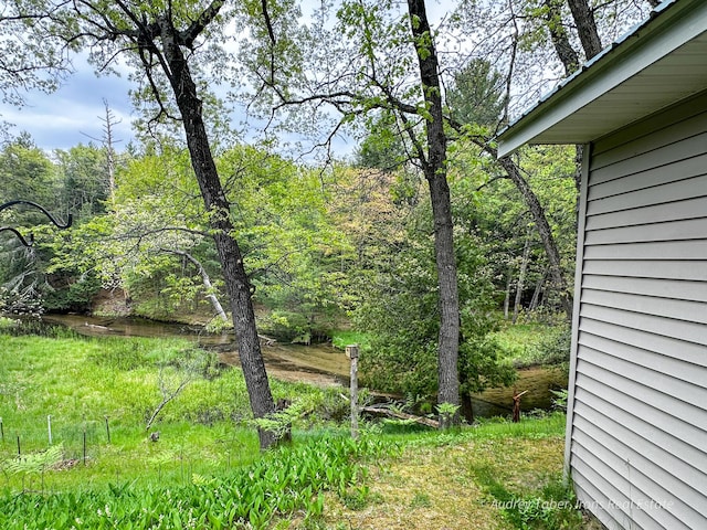 4307 N Mac Rd, Irons, MI 49644 - view of yard