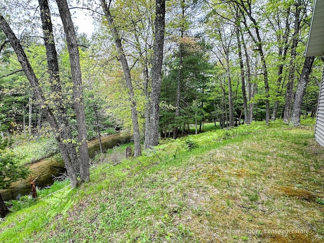4307 N Mac Rd, Irons, MI 49644 - view of yard