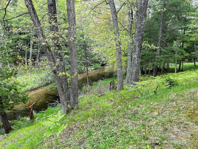 4307 N Mac Rd, Irons, MI 49644 - view of woods