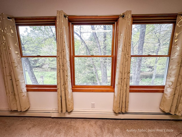 4307 N Mac Rd, Irons, MI 49644 - detailed view of a baseboard radiator
