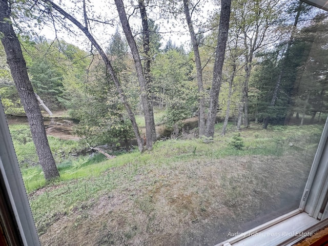 4307 N Mac Rd, Irons, MI 49644 - view of yard