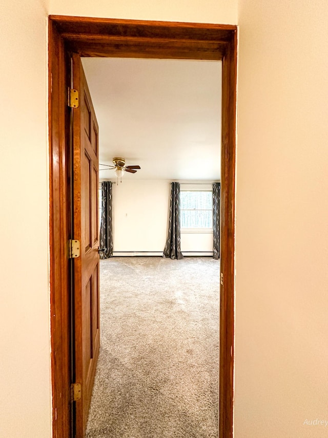 4307 N Mac Rd, Irons, MI 49644 - hall with carpet floors and baseboards