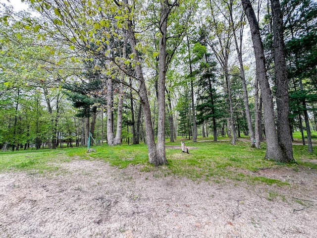 4307 N Mac Rd, Irons, MI 49644 - view of yard with a view of trees