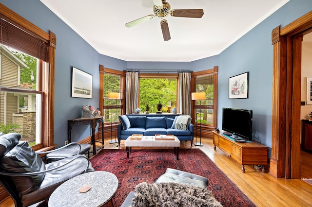 903 Lake Blvd, Saint Joseph, MI 49085 - living area with wood finished floors, plenty of natural light, a ceiling fan, and ornamental molding