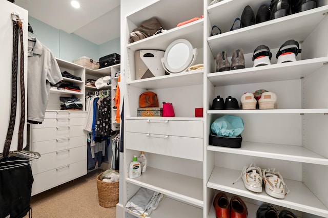 903 Lake Blvd, Saint Joseph, MI 49085 - spacious closet featuring carpet