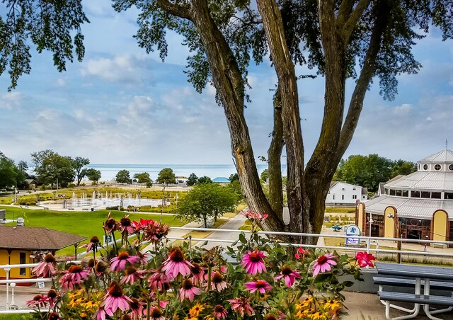 903 Lake Blvd, Saint Joseph, MI 49085 - view of community featuring a water view