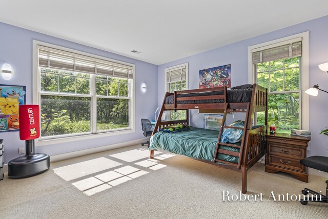 1740 Flowers Mill Ct NE, Grand Rapids, MI 49525 - photo 48