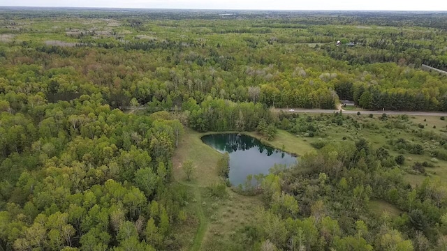 Boman Rd, Gladwin, MI 48624