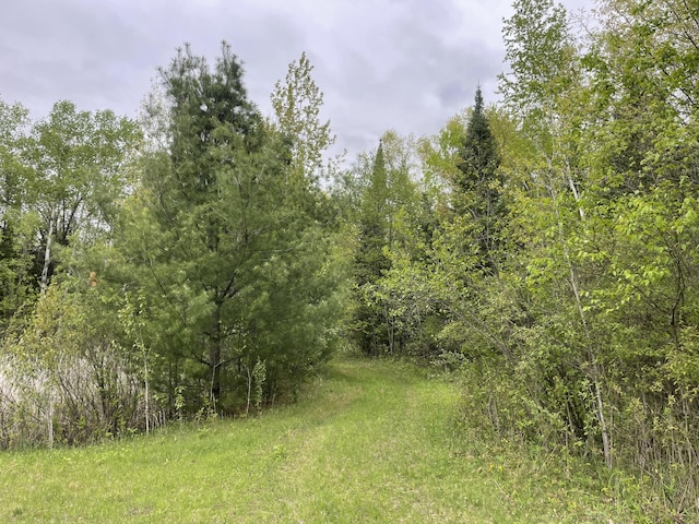 Boman Rd, Gladwin, MI 48624