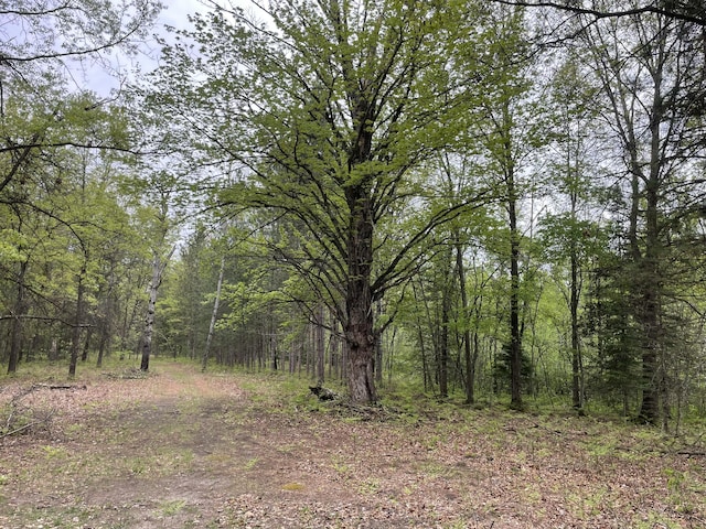 Boman Rd, Gladwin, MI 48624