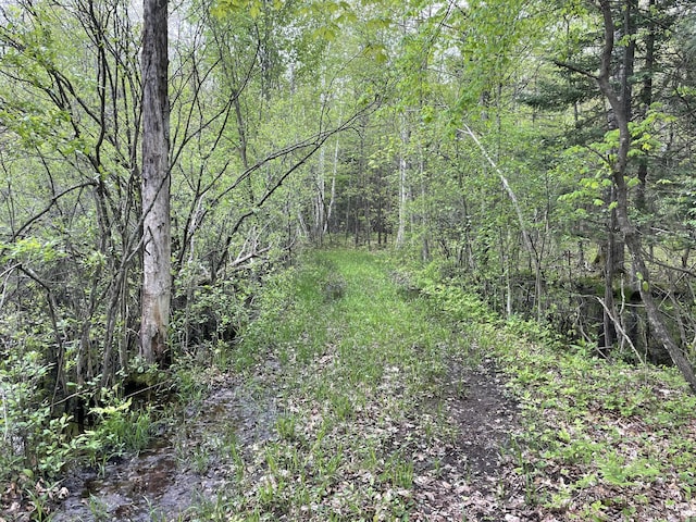Boman Rd, Gladwin, MI 48624