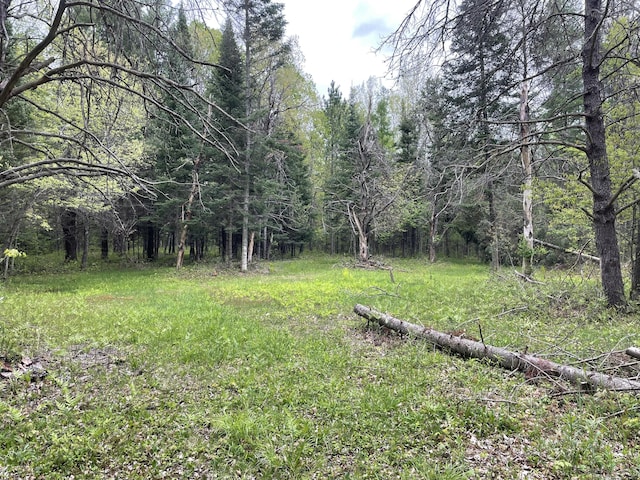 Boman Rd, Gladwin, MI 48624