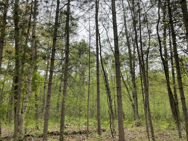 Boman Rd, Gladwin, MI 48624