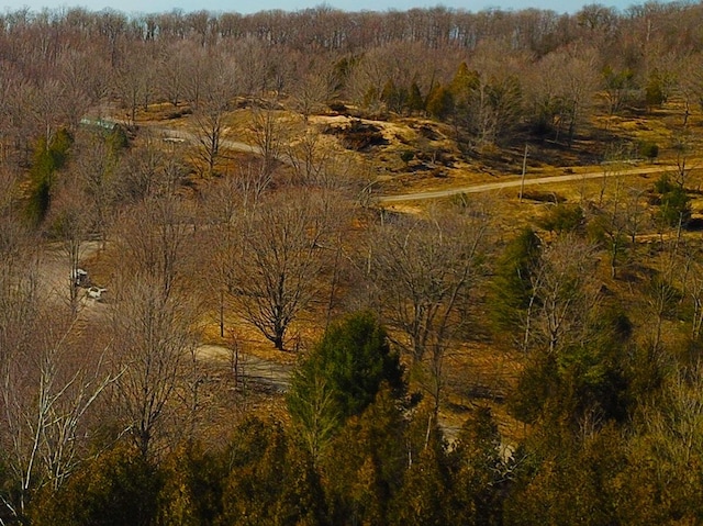 00 Maxey Rd, Arcadia, MI 49613