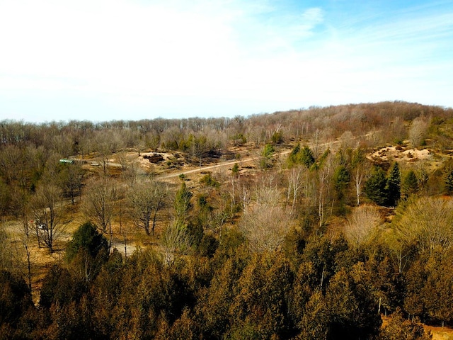 00 Maxey Rd, Arcadia, MI 49613