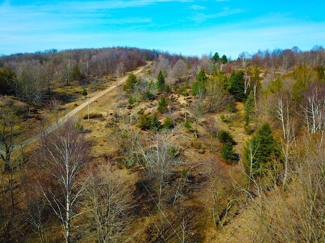 00 Maxey Rd, Arcadia, MI 49613