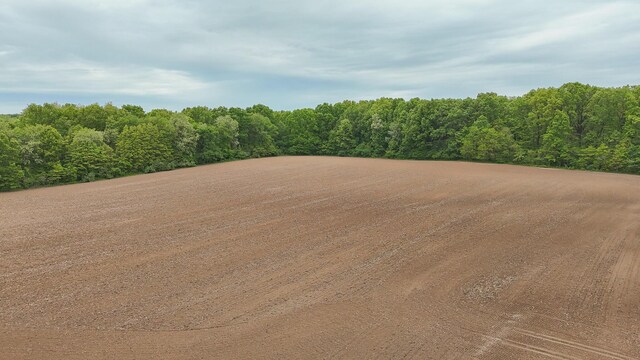 Twin Lakes Rd, Dowagiac, MI 49047 - photo 1