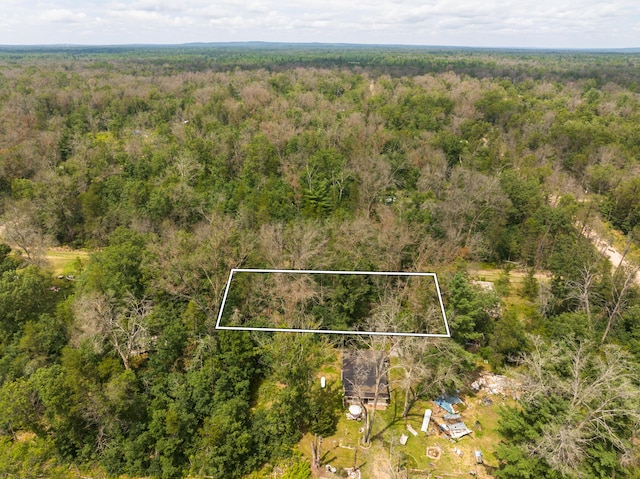 00 St Louis, Idlewild, MI 49642