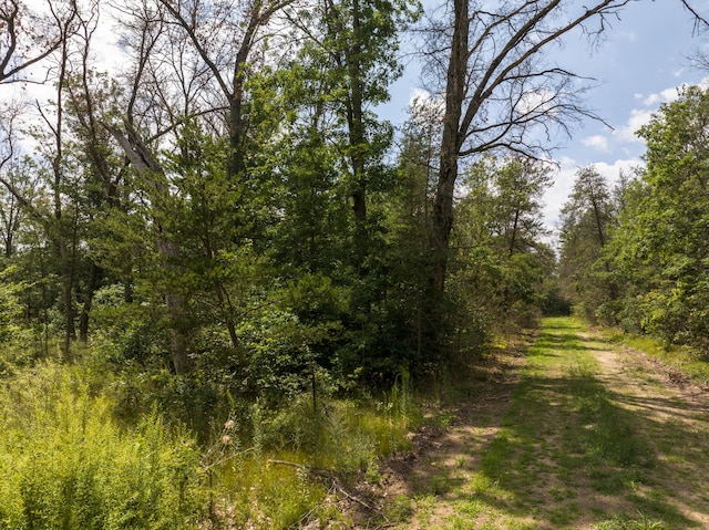 00 St Louis, Idlewild, MI 49642