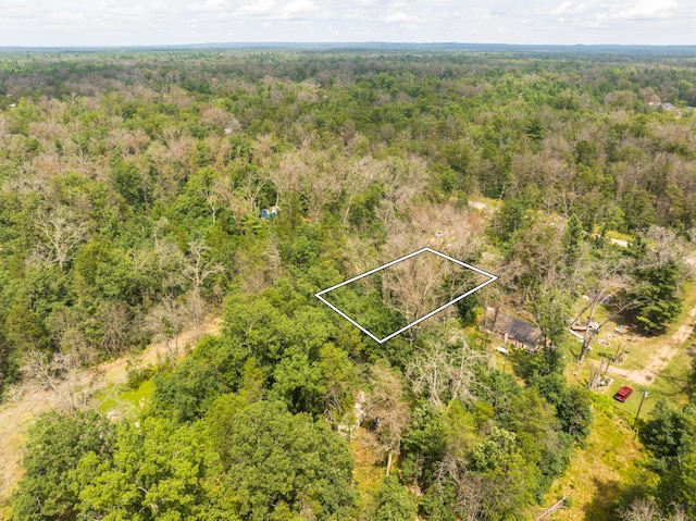 00 St Louis, Idlewild, MI 49642