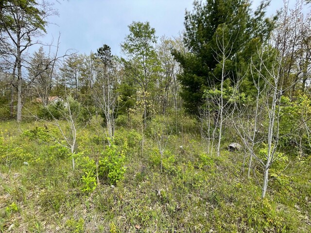 V/L Caberfae Highway, Wellston, MI 49689