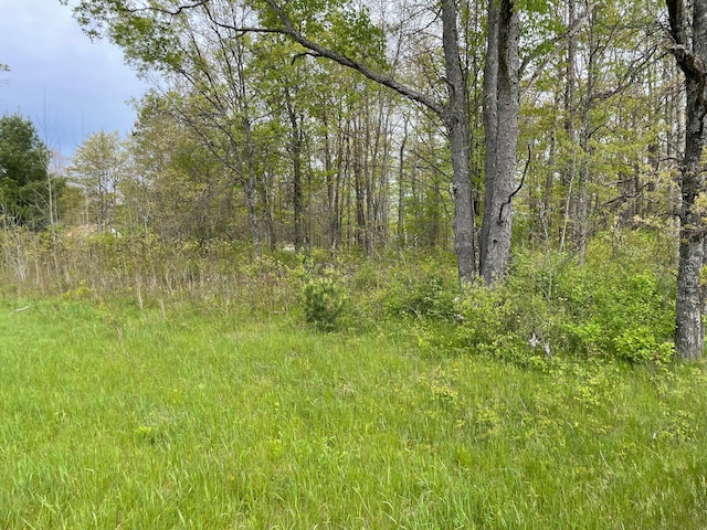 V/L Caberfae Highway, Wellston, MI 49689