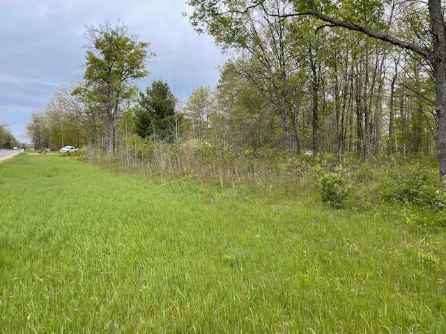 V/L Caberfae Highway, Wellston, MI 49689