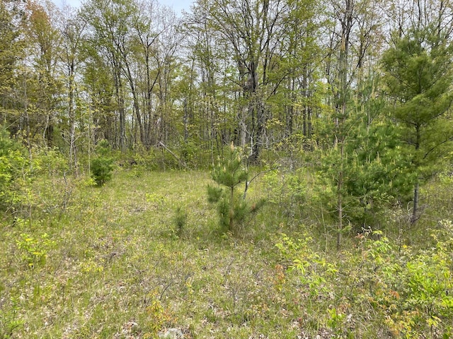 V/L Caberfae Highway, Wellston, MI 49689