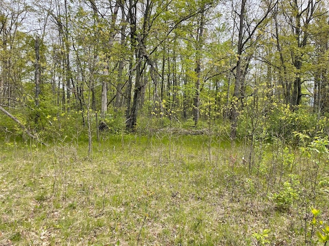 V/L Caberfae Highway, Wellston, MI 49689