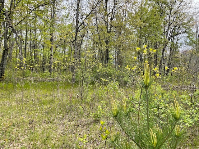 V/L Caberfae Highway, Wellston, MI 49689