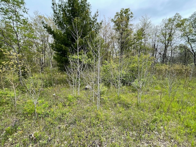 V/L Caberfae Highway, Wellston, MI 49689